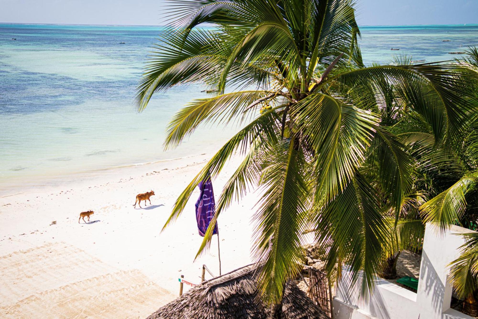 Hotel Sunrise à Jambiani  Extérieur photo